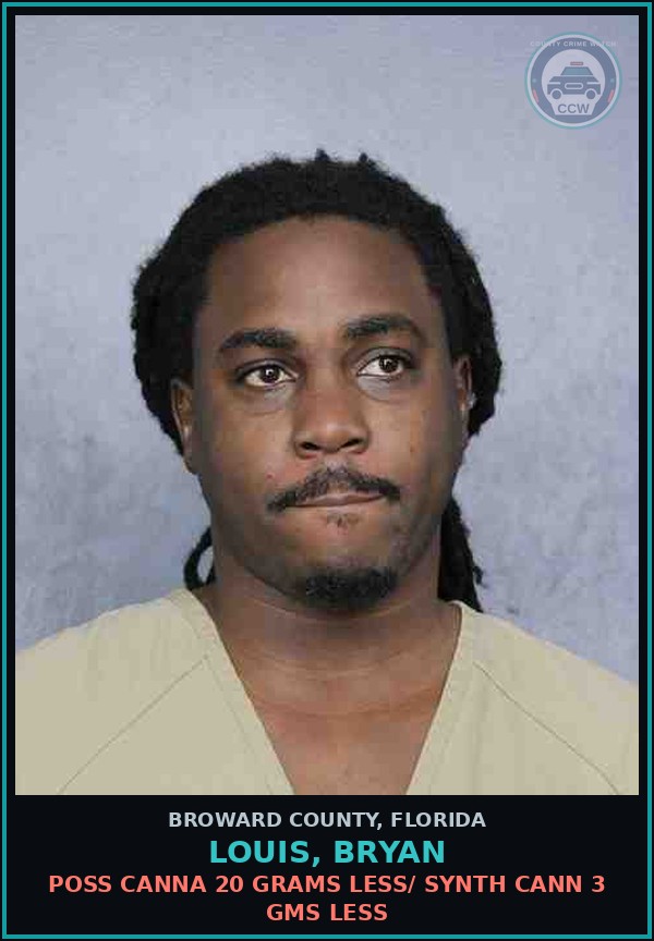 Booking mugshot of LOUIS, BRYAN in Broward County