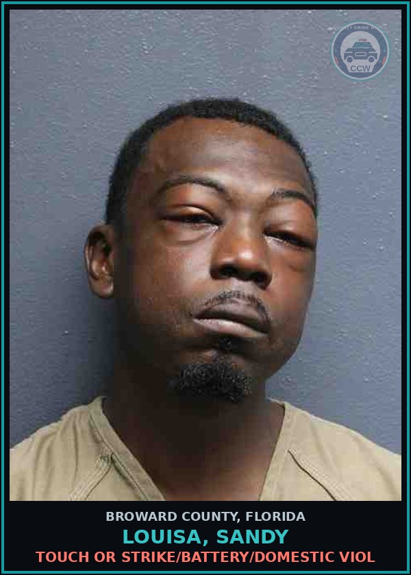 Booking mugshot of LOUISA, SANDY in Broward County