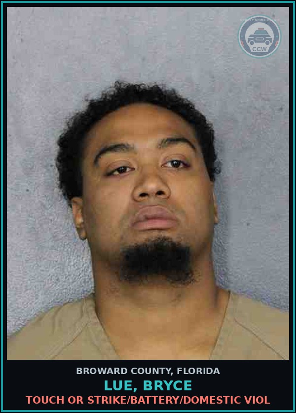 Booking mugshot of LUE, BRYCE in Broward County