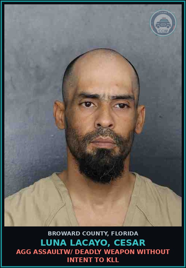 Booking mugshot of LUNA LACAYO, CESAR in Broward County