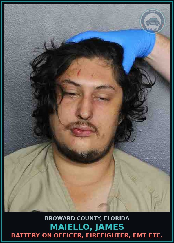 Booking mugshot of MAIELLO, JAMES in Broward County