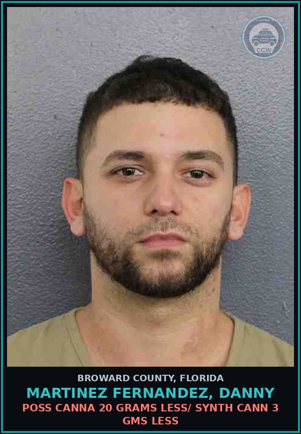 Booking mugshot of MARTINEZ FERNANDEZ, DANNY in Broward County