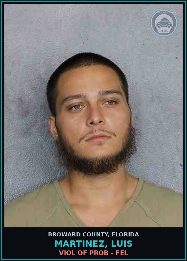 Booking mugshot of MARTINEZ, LUIS in Broward County