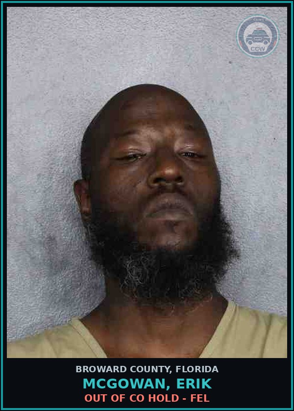 Booking mugshot of MCGOWAN, ERIK in Broward County