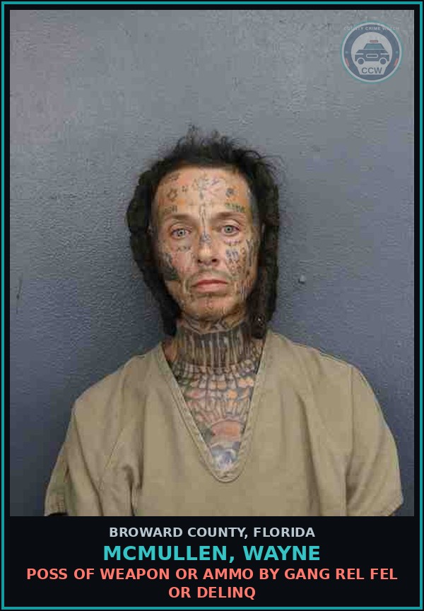 Booking mugshot of MCMULLEN, WAYNE in Broward County