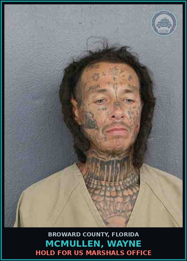 Booking mugshot of MCMULLEN,
        WAYNE in Broward County