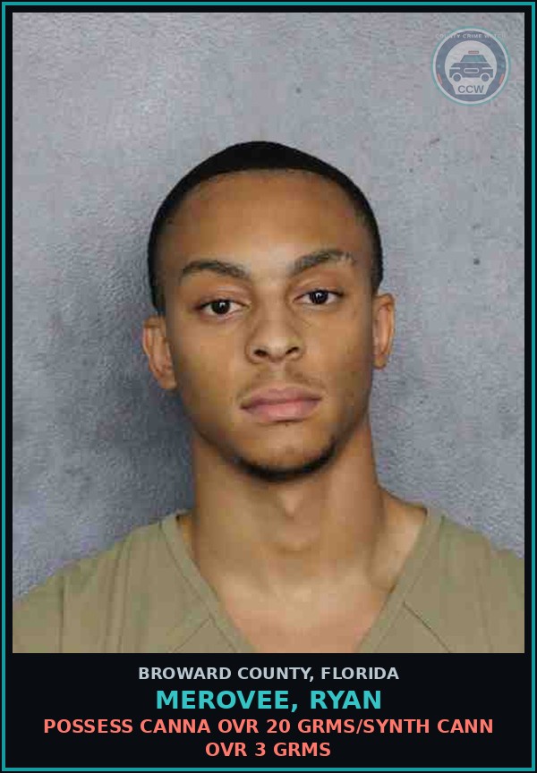 Booking mugshot of MEROVEE, RYAN in Broward County