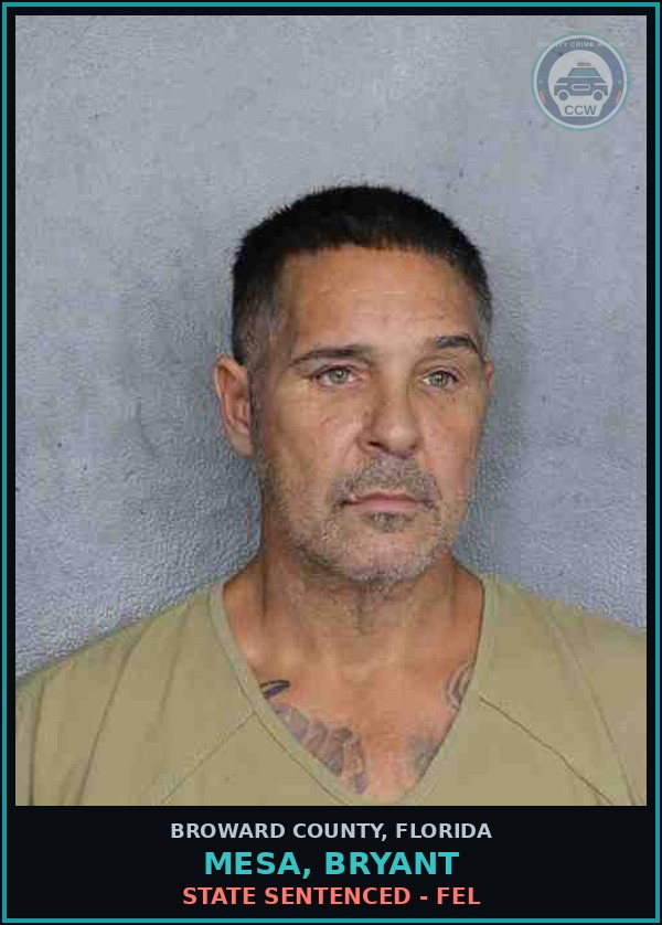 Booking mugshot of MESA, BRYANT in Broward County