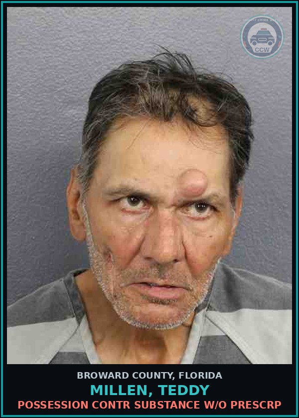Booking mugshot of MILLEN, TEDDY in Broward County