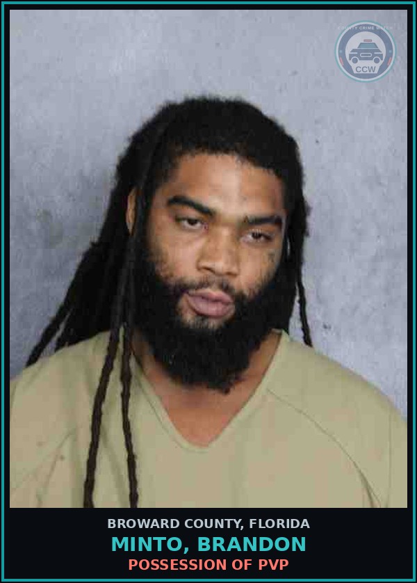 Booking mugshot of MINTO, BRANDON in Broward County