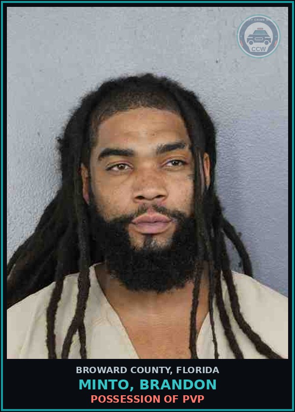 Booking mugshot of MINTO, BRANDON in Broward County