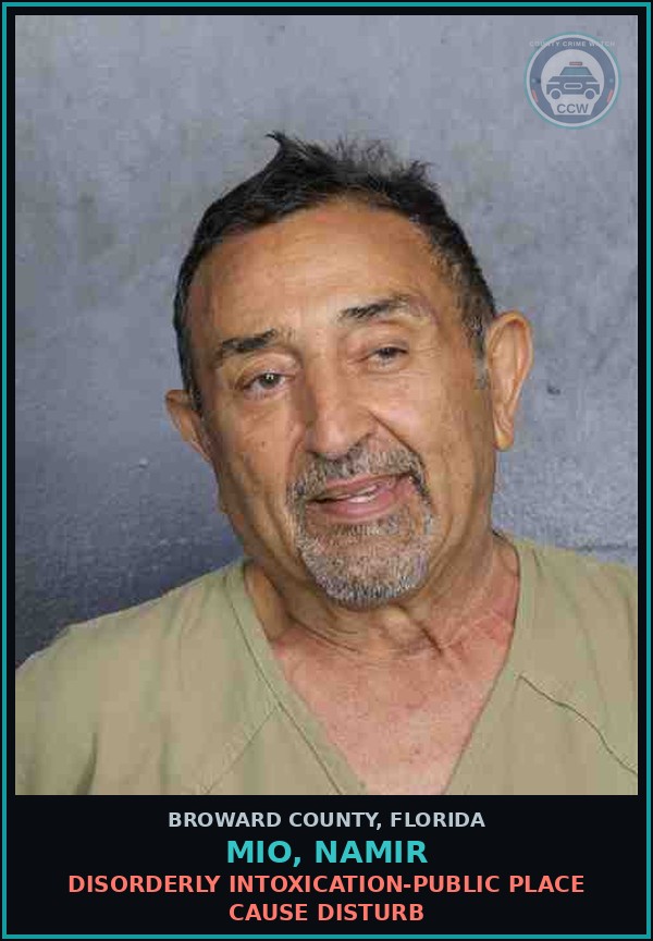Booking mugshot of MIO, NAMIR in Broward County