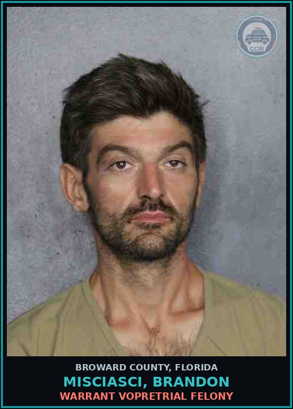 Booking mugshot of MISCIASCI, BRANDON in Broward County