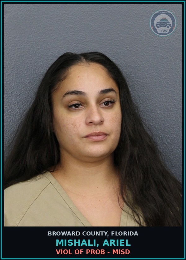 Booking mugshot of MISHALI, ARIEL in Broward County