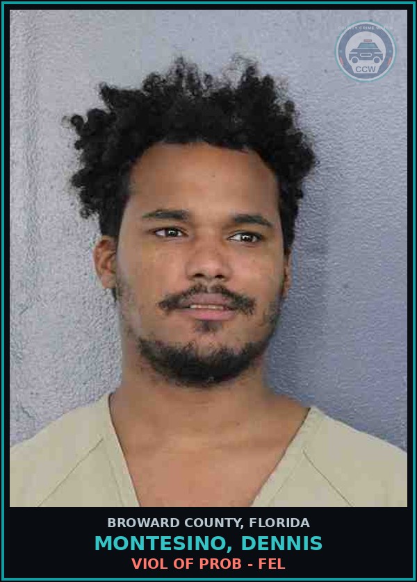 Booking mugshot of MONTESINO, DENNIS in Broward County
