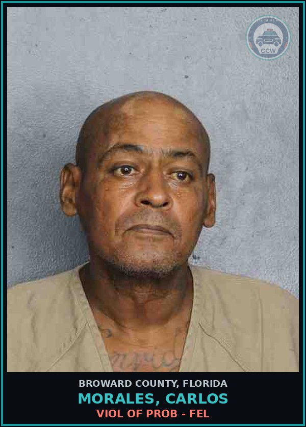 Booking mugshot of MORALES, CARLOS in Broward County