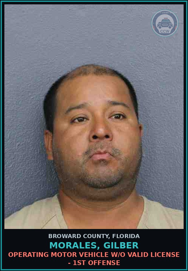 Booking mugshot of MORALES, GILBER in Broward County