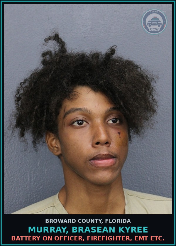 Booking mugshot of MURRAY, BRASEAN KYREE in Broward County