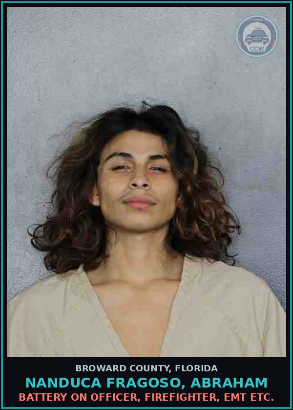 Booking mugshot of NANDUCA FRAGOSO, ABRAHAM in Broward County