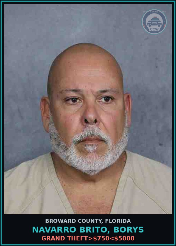 Booking mugshot of NAVARRO BRITO, BORYS in Broward County