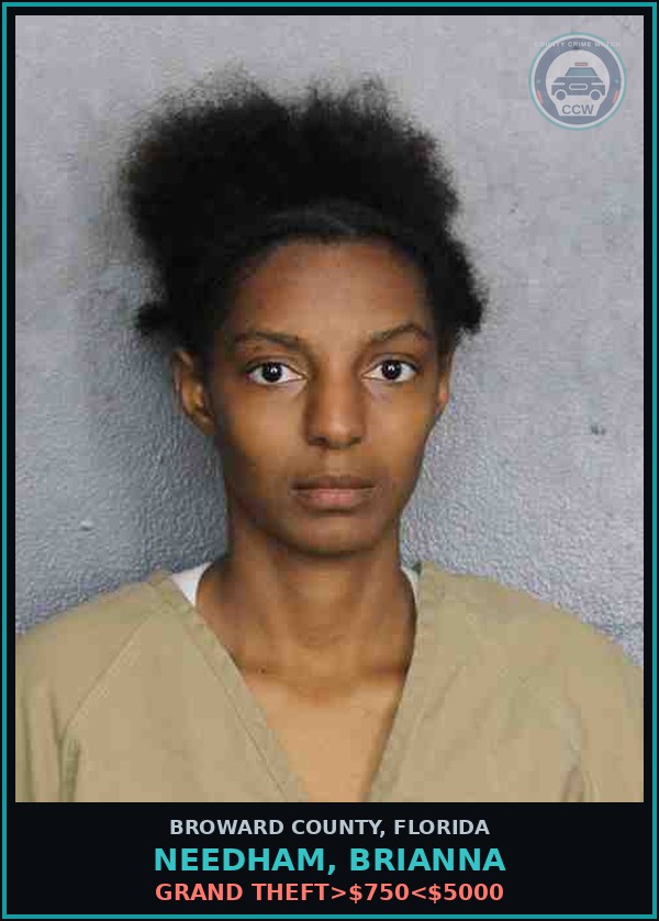 Booking mugshot of NEEDHAM, BRIANNA in Broward County