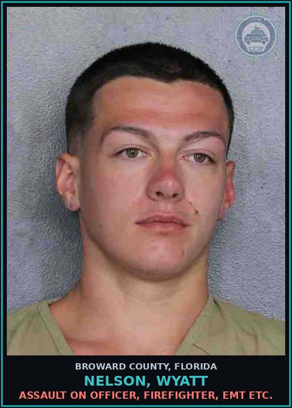 Booking mugshot of NELSON, WYATT in Broward County