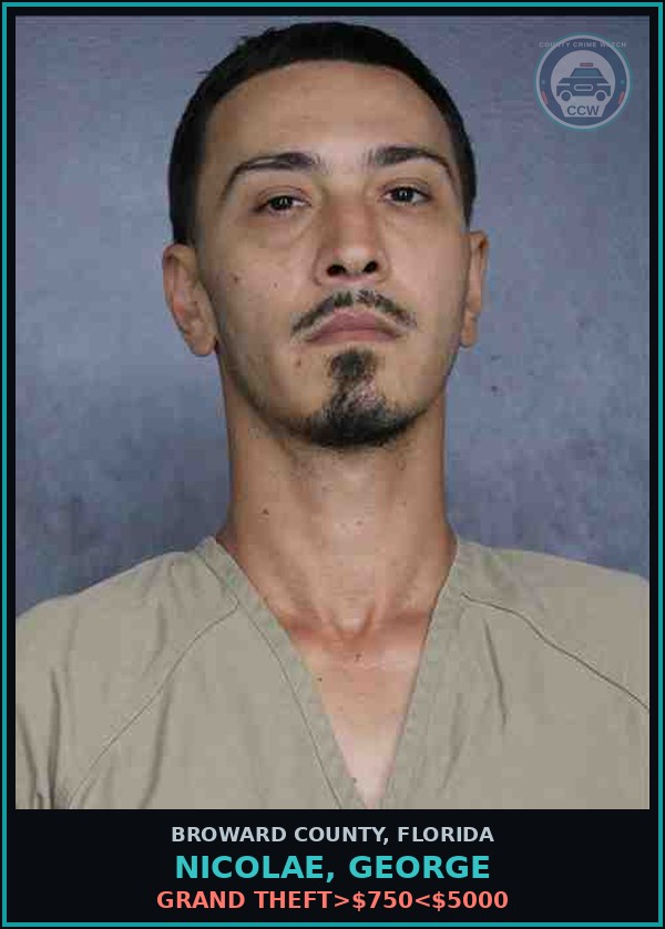 Booking mugshot of NICOLAE, GEORGE in Broward County
