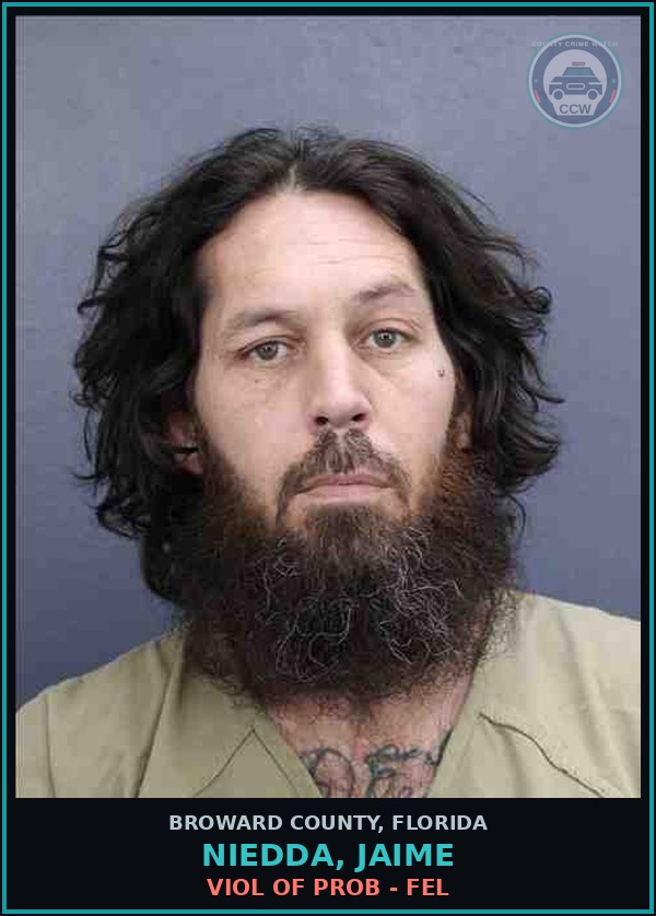 Booking mugshot of NIEDDA, JAIME in Broward County