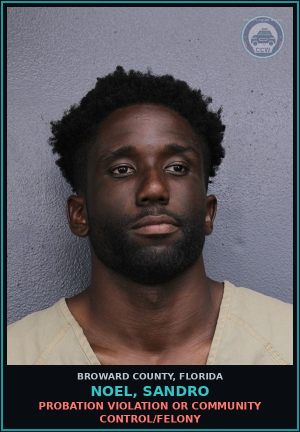Booking mugshot of NOEL,
        SANDRO in Broward County