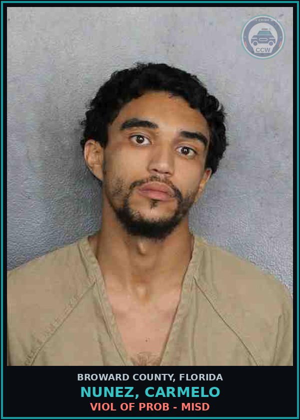 Booking mugshot of NUNEZ, CARMELO in Broward County