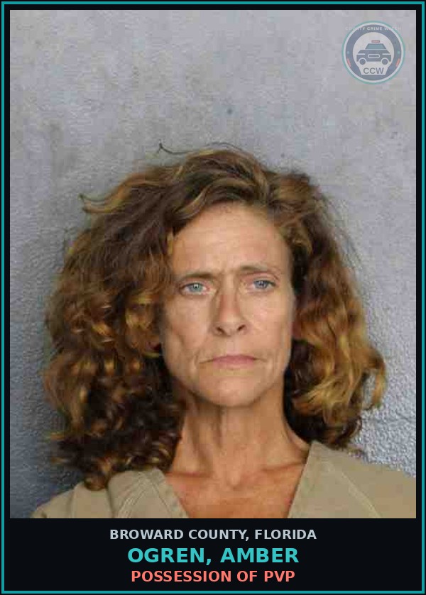 Booking mugshot of OGREN, AMBER in Broward County