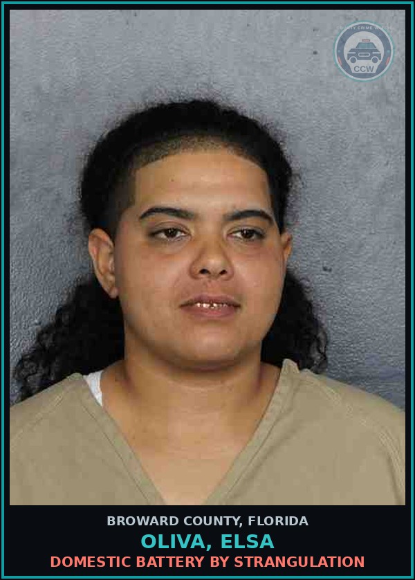 Booking mugshot of OLIVA, ELSA in Broward County
