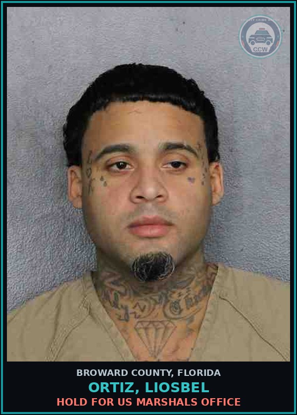 Booking mugshot of ORTIZ, LIOSBEL in Broward County