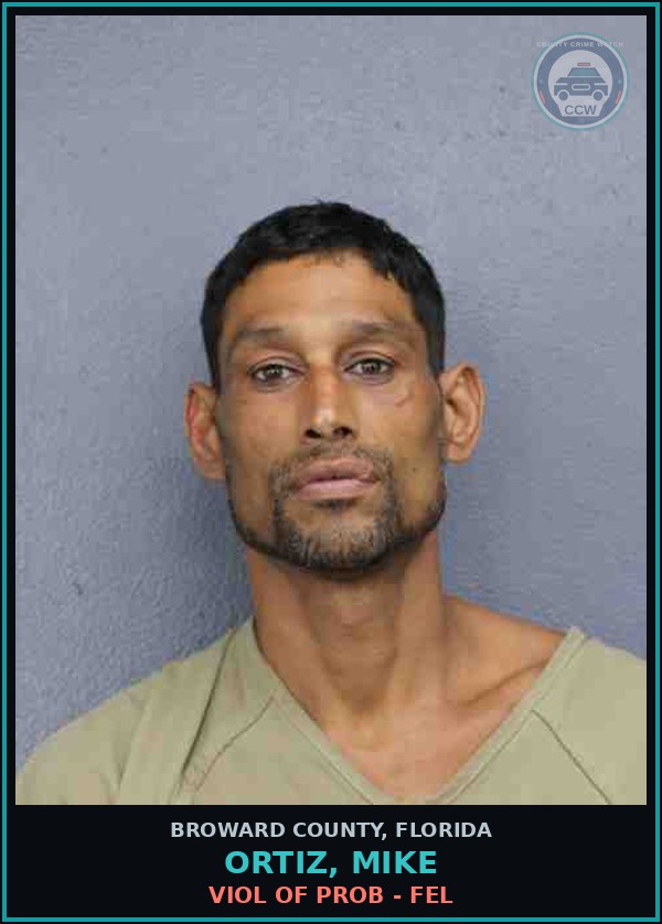 Booking mugshot of ORTIZ, MIKE in Broward County