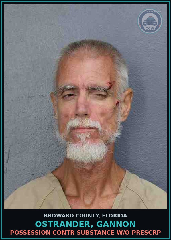 Booking mugshot of OSTRANDER, GANNON in Broward County