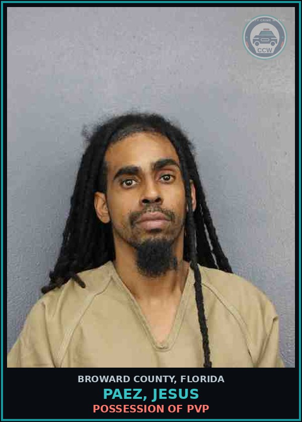 Booking mugshot of PAEZ, JESUS in Broward County
