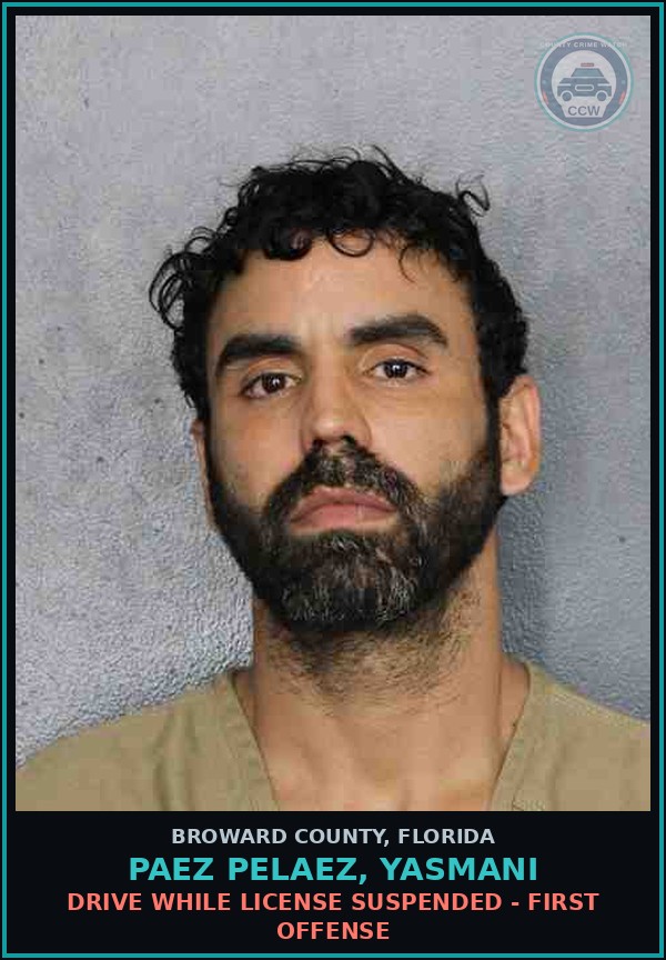 Booking mugshot of PAEZ PELAEZ, YASMANI in Broward County
