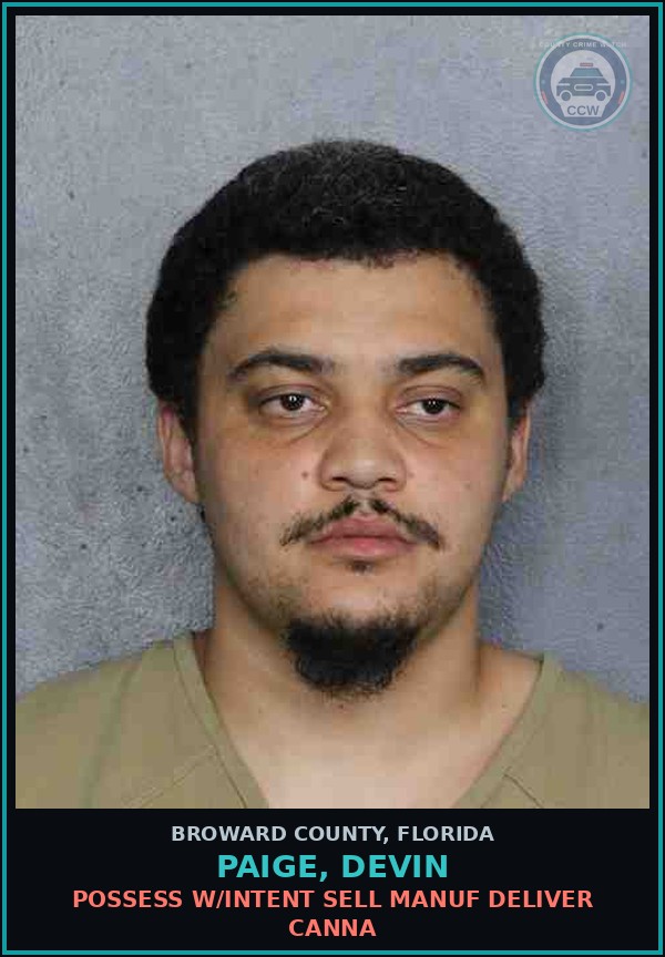 Booking mugshot of PAIGE, DEVIN in Broward County