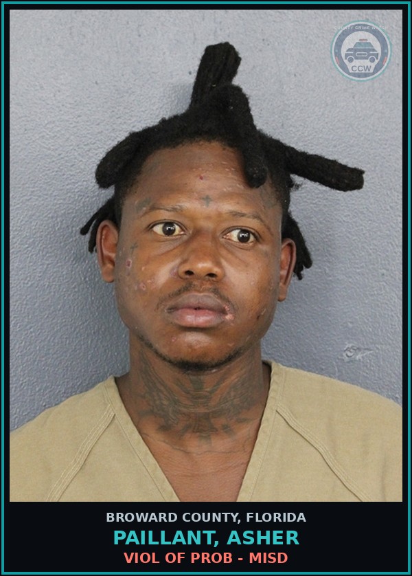 Booking mugshot of PAILLANT, ASHER in Broward County