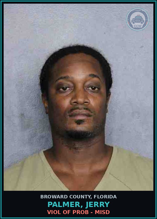 Booking mugshot of PALMER, JERRY in Broward County