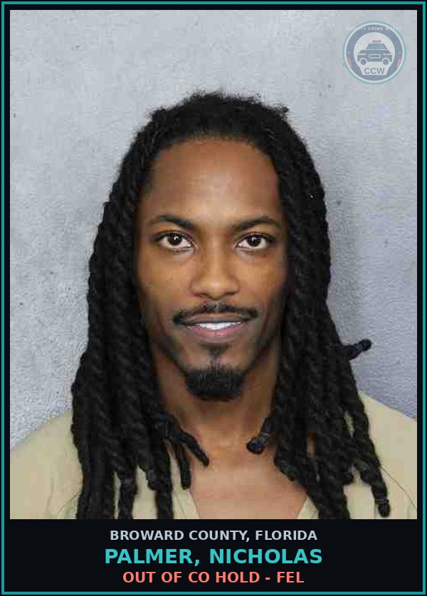 Booking mugshot of PALMER, NICHOLAS in Broward County