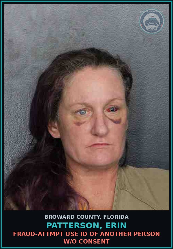 Booking mugshot of PATTERSON, ERIN in Broward County