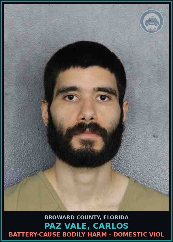 Booking mugshot of PAZ VALE, CARLOS in Broward County
