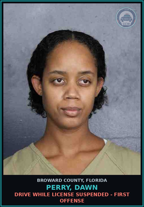 Booking mugshot of PERRY, DAWN in Broward County