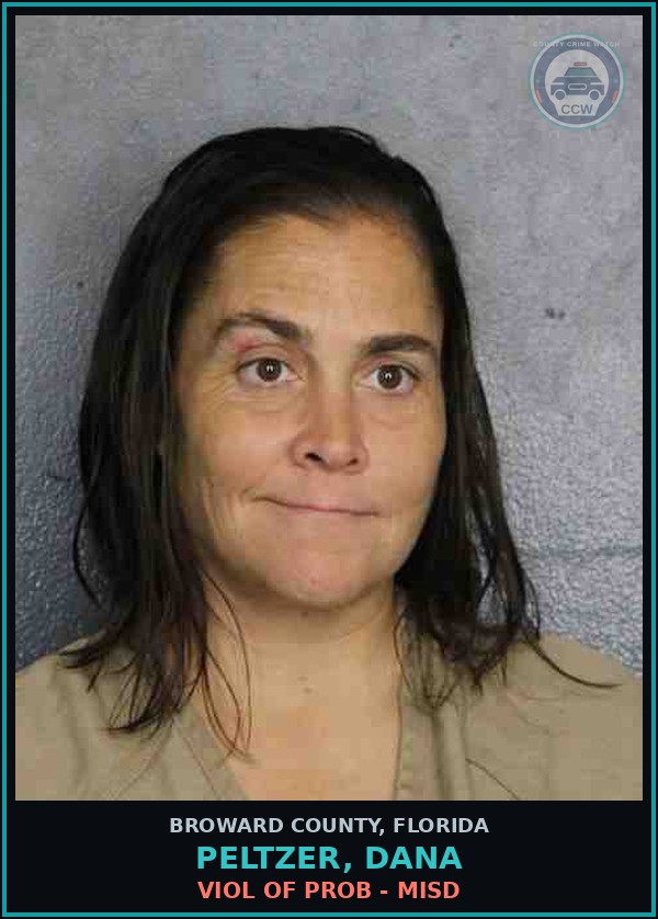 Booking mugshot of PELTZER, DANA in Broward County