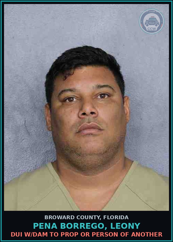Booking mugshot of PENA BORREGO, LEONY in Broward County
