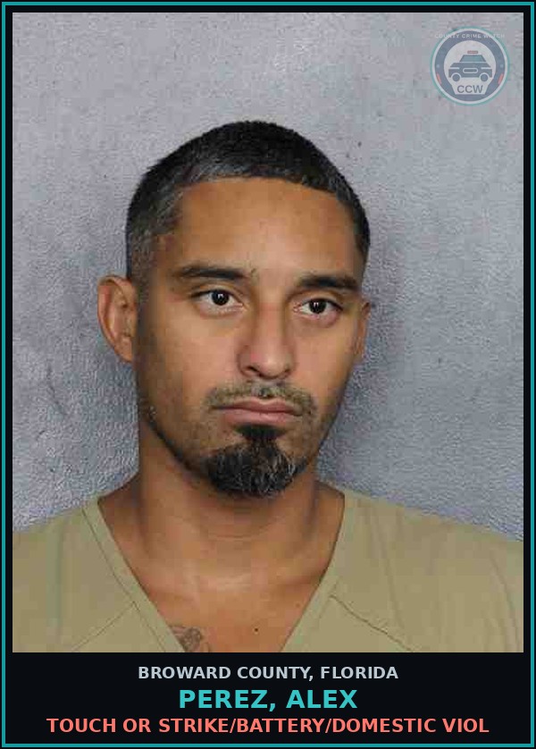 Booking mugshot of PEREZ, ALEX in Broward County
