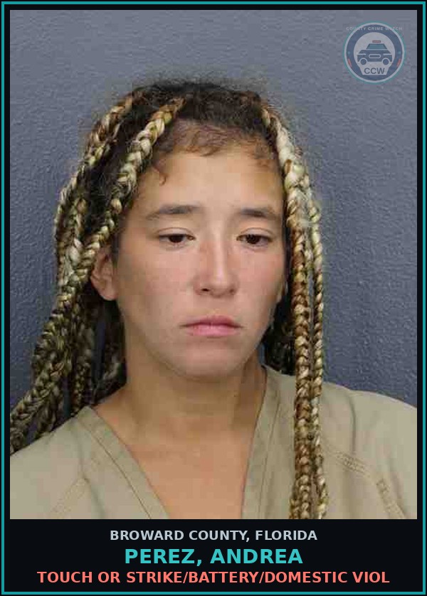 Booking mugshot of PEREZ, ANDREA in Broward County