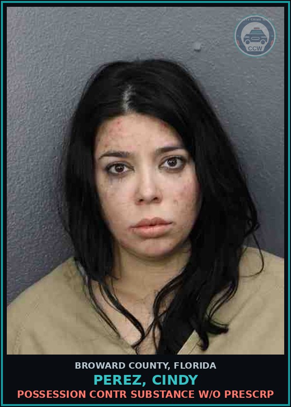 Booking mugshot of PEREZ, CINDY in Broward County