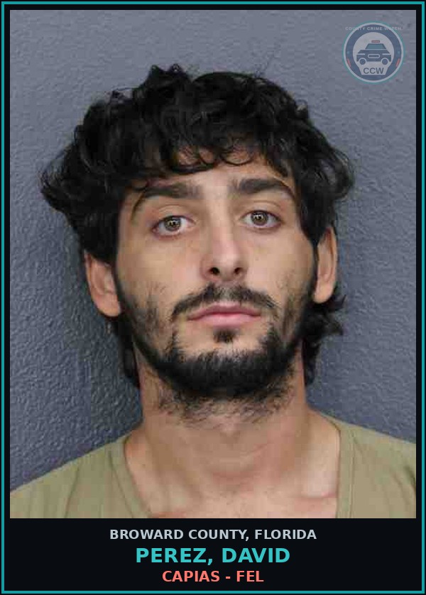Booking mugshot of PEREZ, DAVID in Broward County